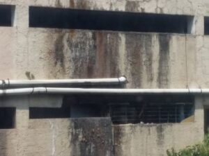 20190905 120600 Yan0VjxZwoukn2DX 300x225