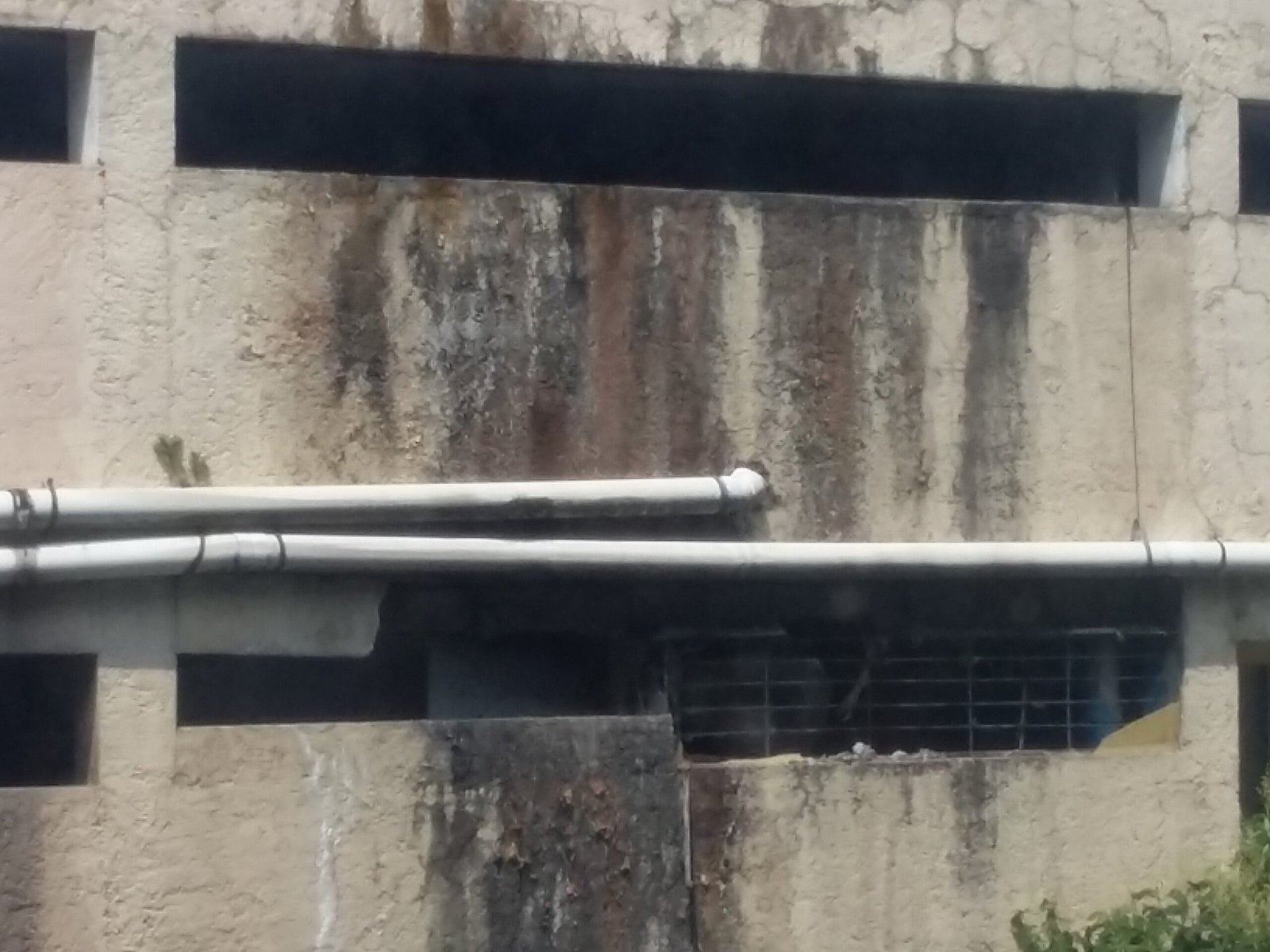 20190905 120600 Yan0VjxZwoukn2DX Scaled