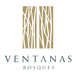 ventanas bosques
