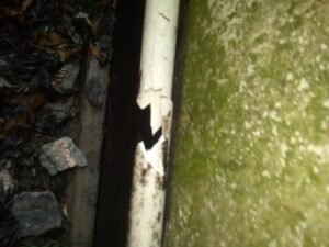 Gzvd9905 Yan0VnWpPLHlN3v7 300x225