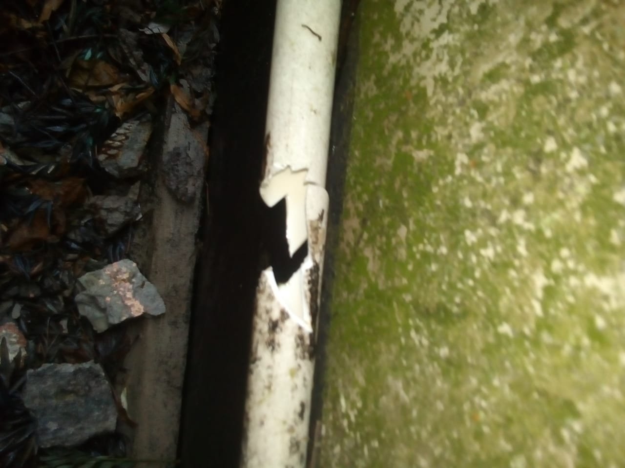 Gzvd9905 Yan0VnWpPLHlN3v7