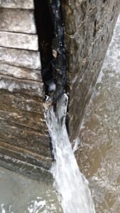 Img 20210507 Wa0004 M2Wq0Wyk6GuQ6zng 169x300