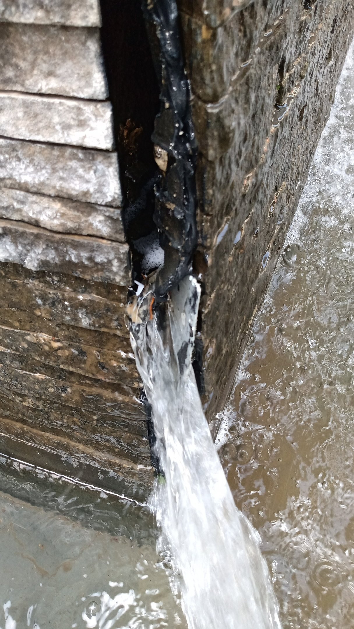 Img 20210507 Wa0004 M2Wq0Wyk6GuQ6zng