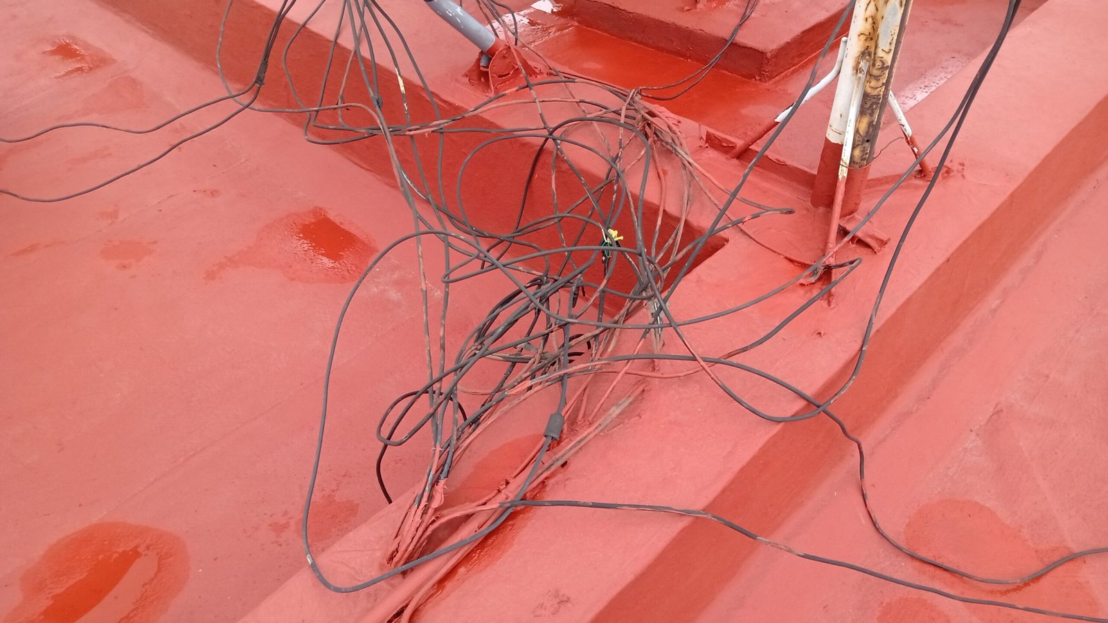 Img 20221006 Wa0022 YBgjKgj5w1HKyWEr Scaled