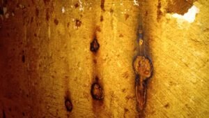 Img 20221112 Wa0022 AQEenExgk4sgnBW9 300x169