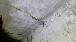 Img 20230316 Wa0021 Mp84V0DNG7Tjplol 300x169