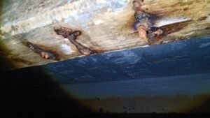 Img 20230404 Wa0014 DJoPKoZ96yuBRBw0 300x169