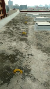 Img 20161216 143913638 AE07KzkXo8fNP5Mk 169x300