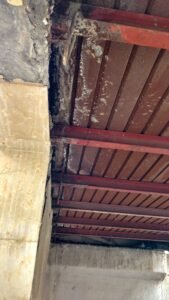 Img 20170921 103108954 Hdr AE07K0oqK1FlOnZG 169x300