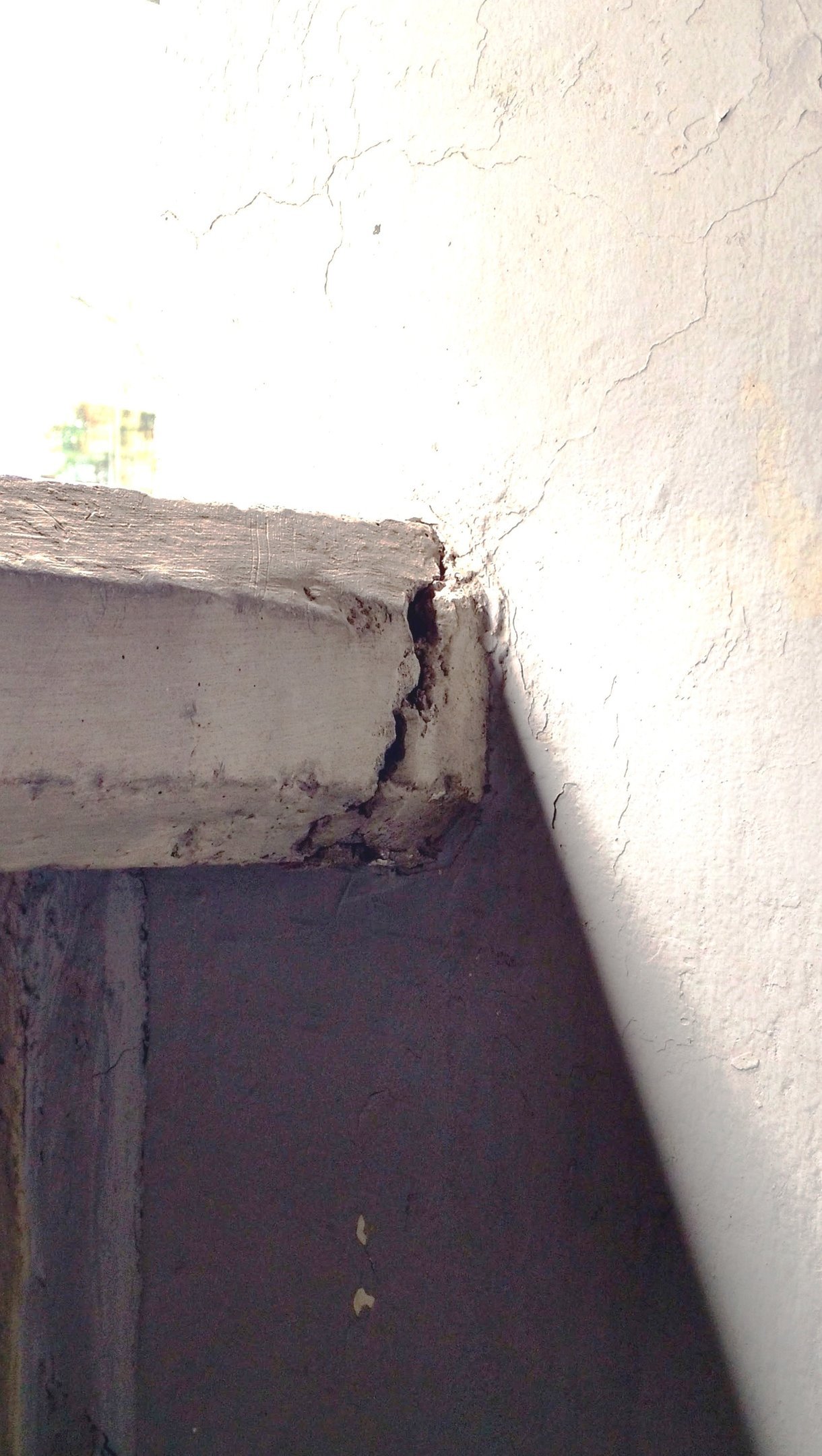 Img 20170921 105546064 Hdr 2 AE07K0oRPefkJV9P