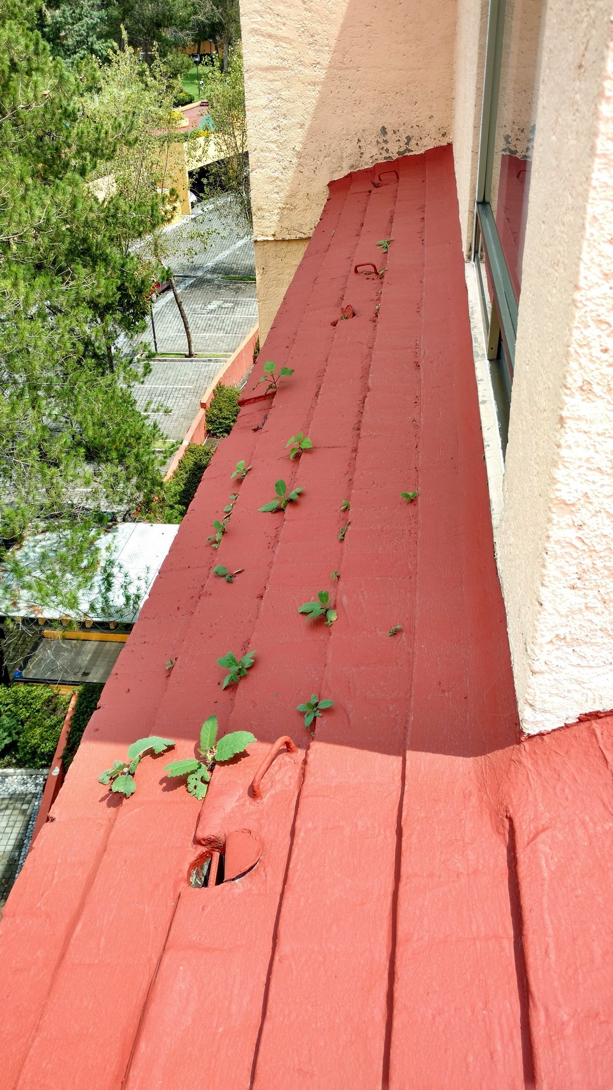 Img 20170922 124944023 Hdr AMqDoPkvwEuqWv0Q