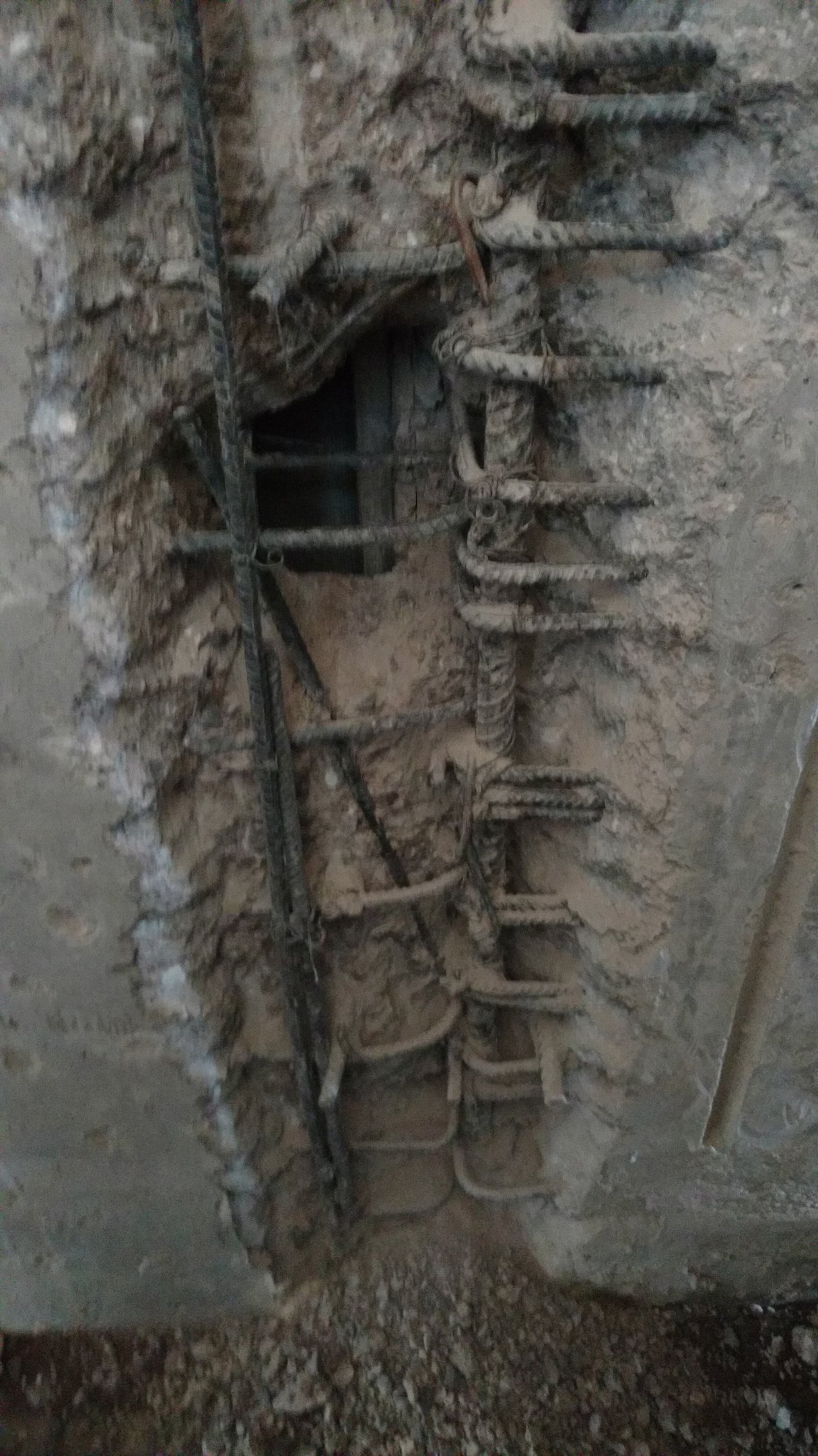 Img 20170928 090436131 YX4jp4y2k7iqR16X