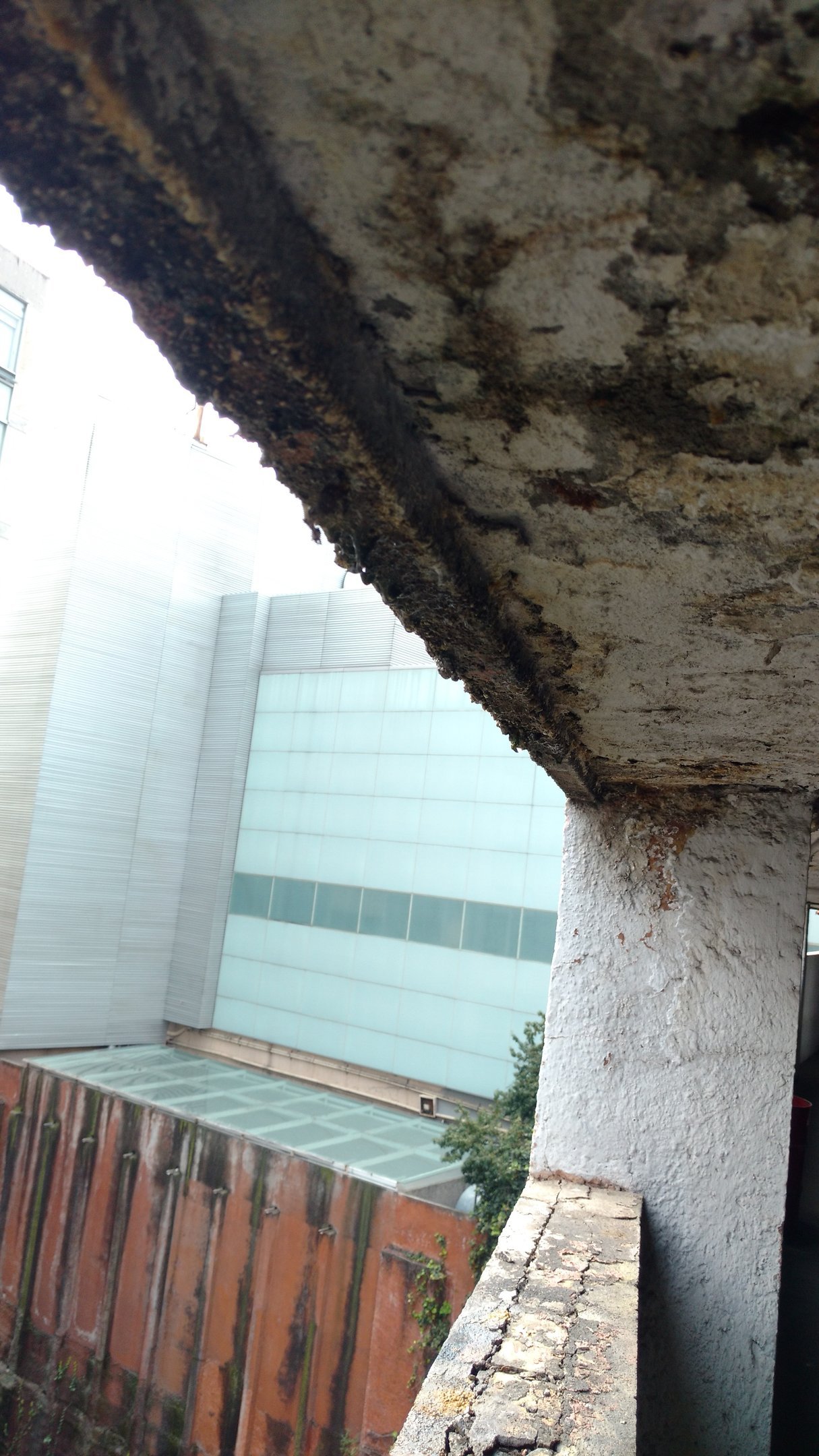 Img 20190905 111216847 AR01Kqa2B3TM6NJY