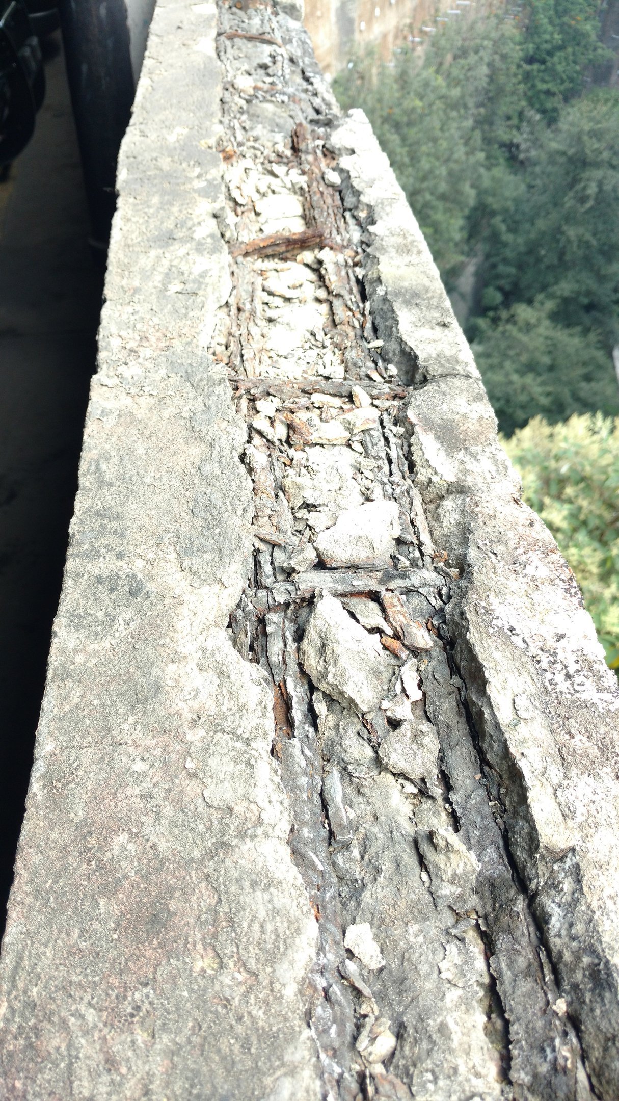 Img 20190905 111233474 A0xvpQOg9JSgZJDE