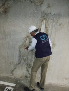 Img 20251028 133637098 CGklb3kqslsSHLHM 226x300