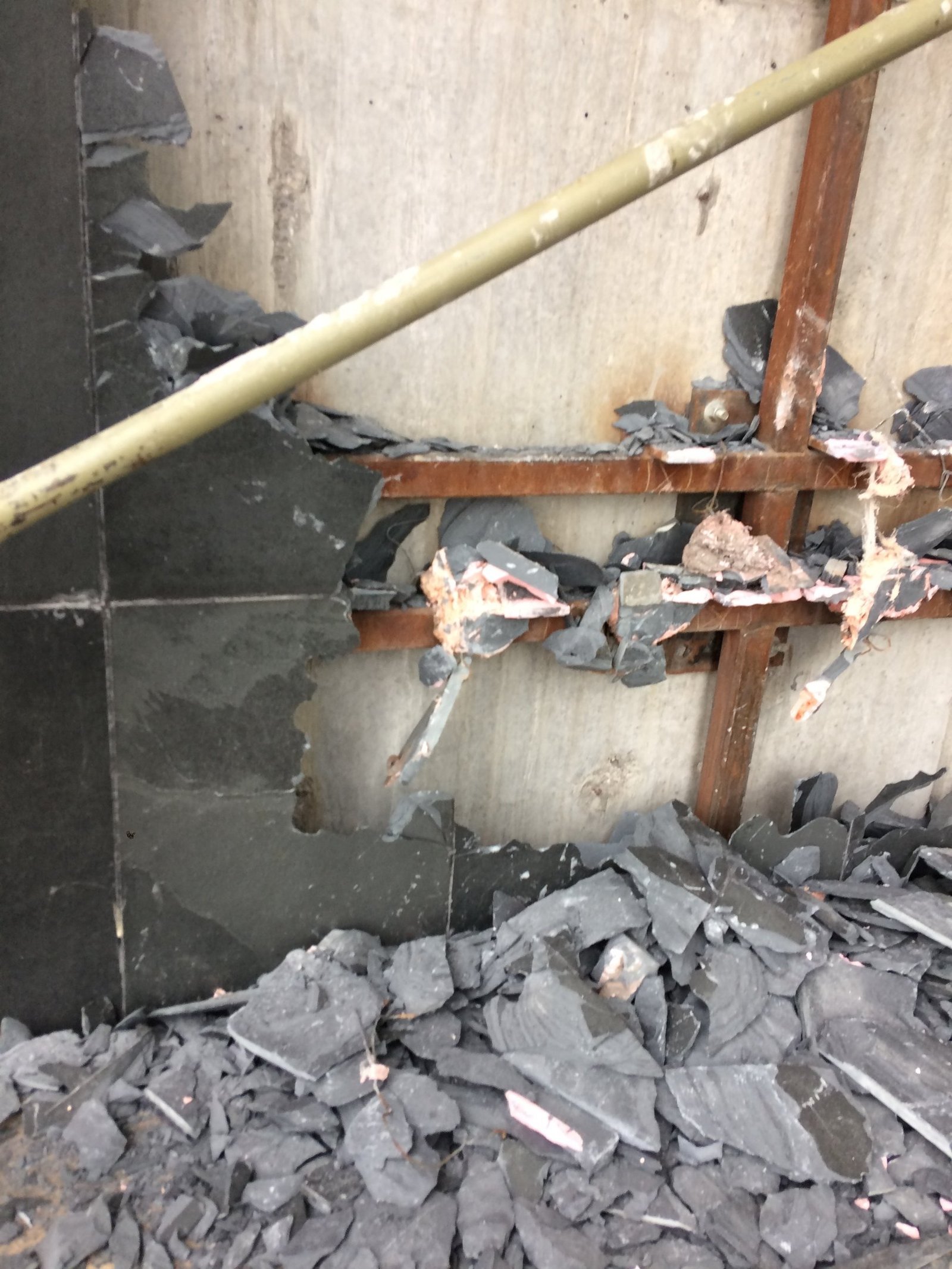 Img 2133 ALp2rpj48OInn7pj